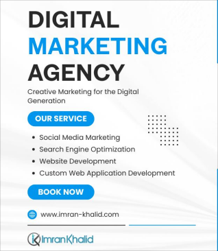 Professional Web Development & Digital Solutions - image 1