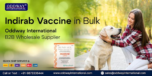 Buy Indirab in Philippines – Trusted Rabies Protection - Oddway International - image 1