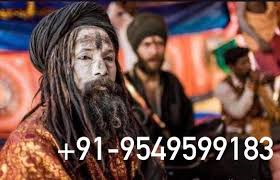 Get Your Love Back Astrologer Specialties Baba Ji - image 1