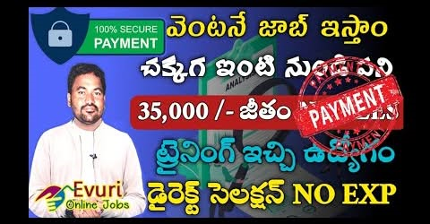 Home Based Computer Typing job / Home Based Data Entry Operator - image 1