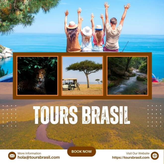 Experiencia Única de Safari Fotográfico en el Pantanal - image 1