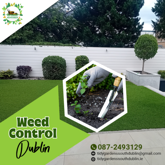 Get rid of weeds from your garden with Tidy Gardens South Dublin services - image 1