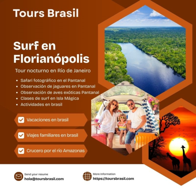 Vida marina Fernando de Noronha con Tours Brasil: Un Paraíso Submarino - image 1