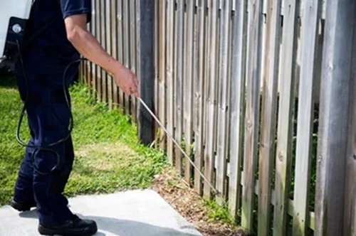 Reliable Pest Control Jacksonville Services Delivering Safe Effective Long Term Pest Solutions - image 1