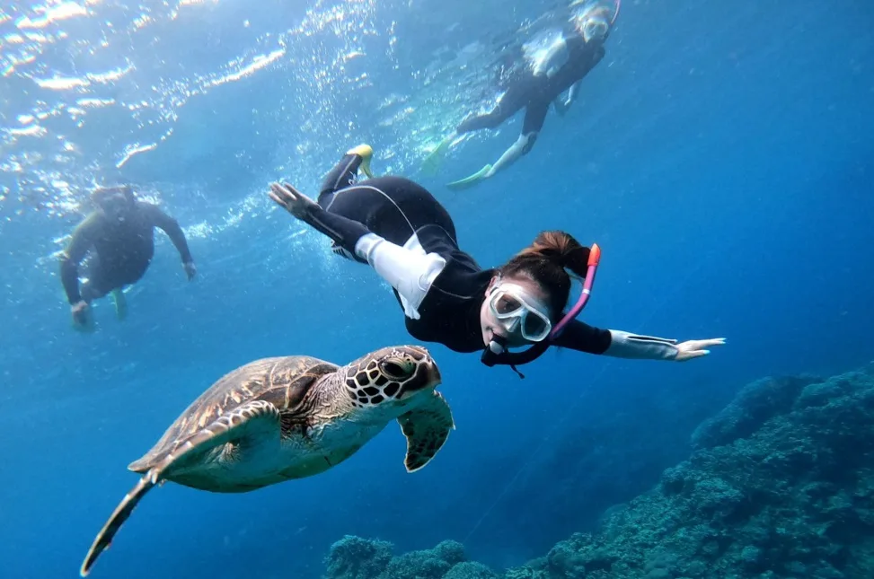 Snorkeling In muscat - image 1
