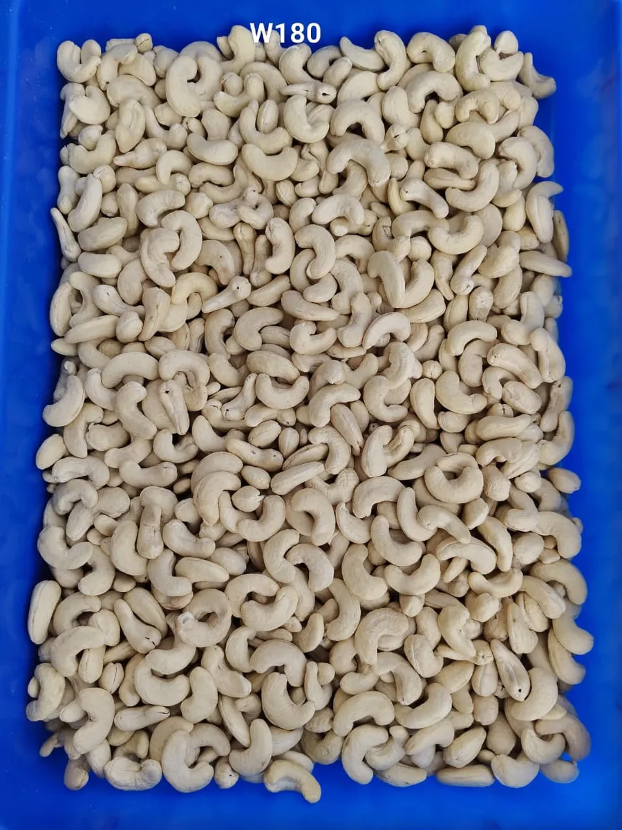 Ahmedabad Vadodara CASHEWS WHOLESALE AVAILABLE IN GUJARAT 7550251115 - image 1