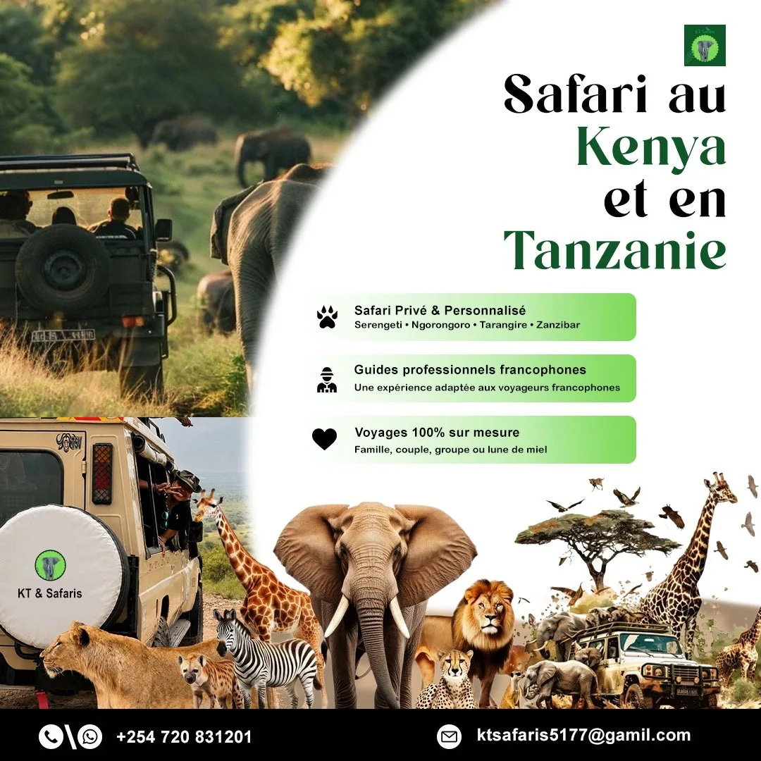 Safari au Kenya et en Tanzanie – Une Aventure Inoubliable - image 1