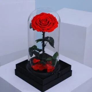 Buy Forever Roses in Dubai – Elegant Preserved Rose Gifts - image 1