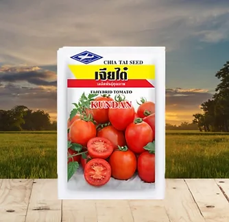Karan Tomato Seeds | Hindustan Seeds - image 1
