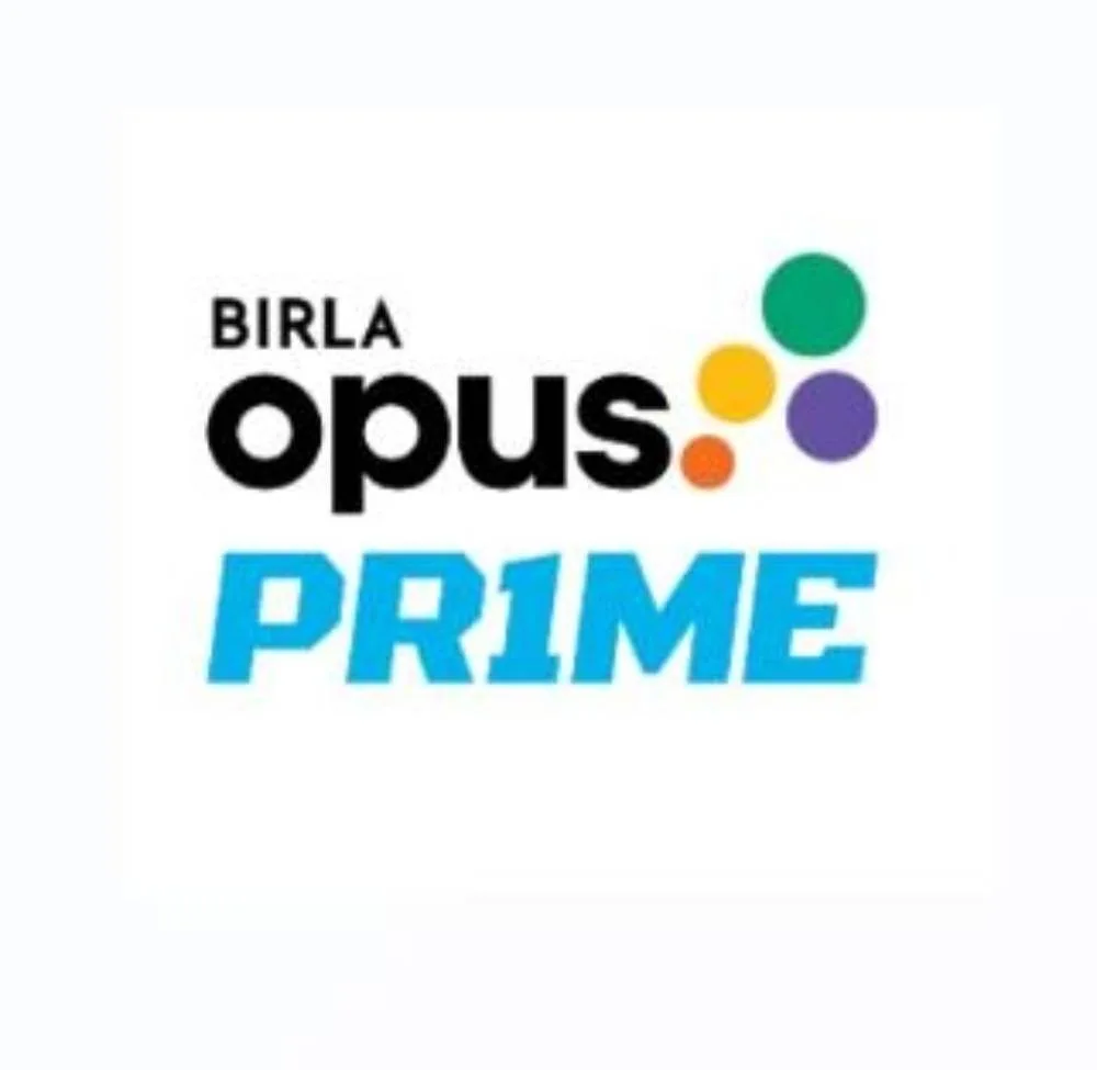 Festive Enamel Paints for Home Makeovers - Birla Opus Prime - image 1