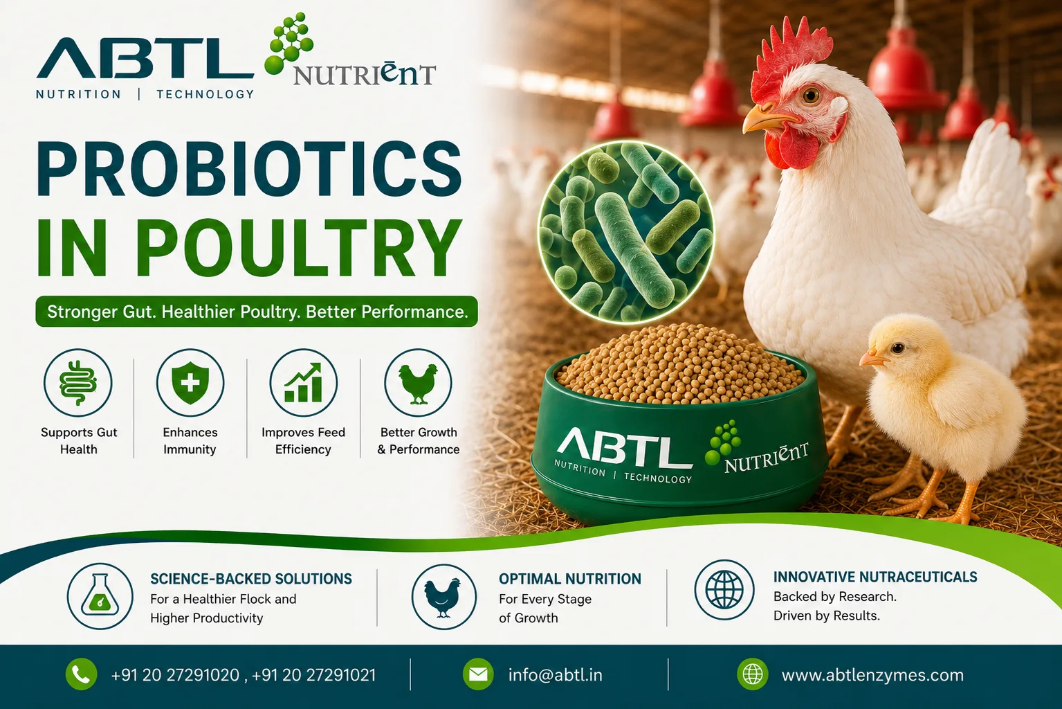 Probiotics in poultry - image 1
