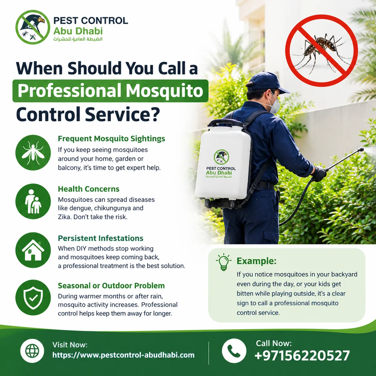 When Should You Call a Professional Mosquito Control Service? - image 1