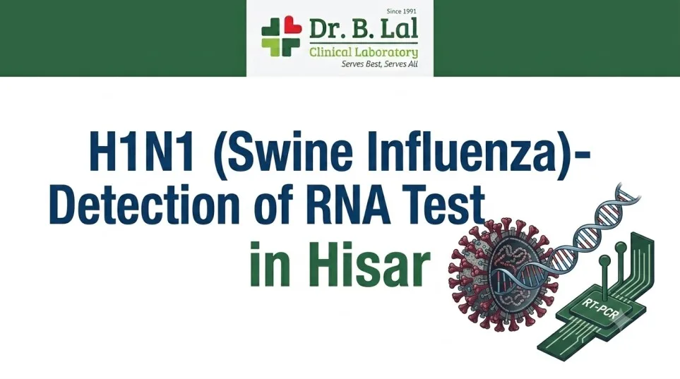 H1N1 Test in Hisar with Free Home Collection | Convenient Swine Flu Testing - image 1