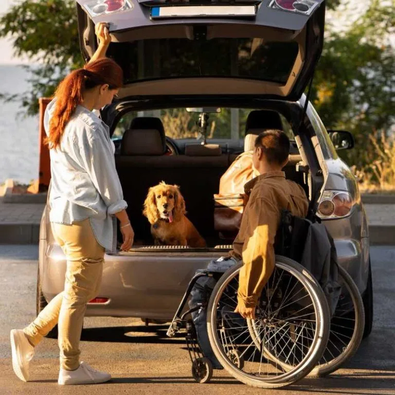 Don’t Let Poor Transport Disrupt Your NDIS Daily Routine - image 1