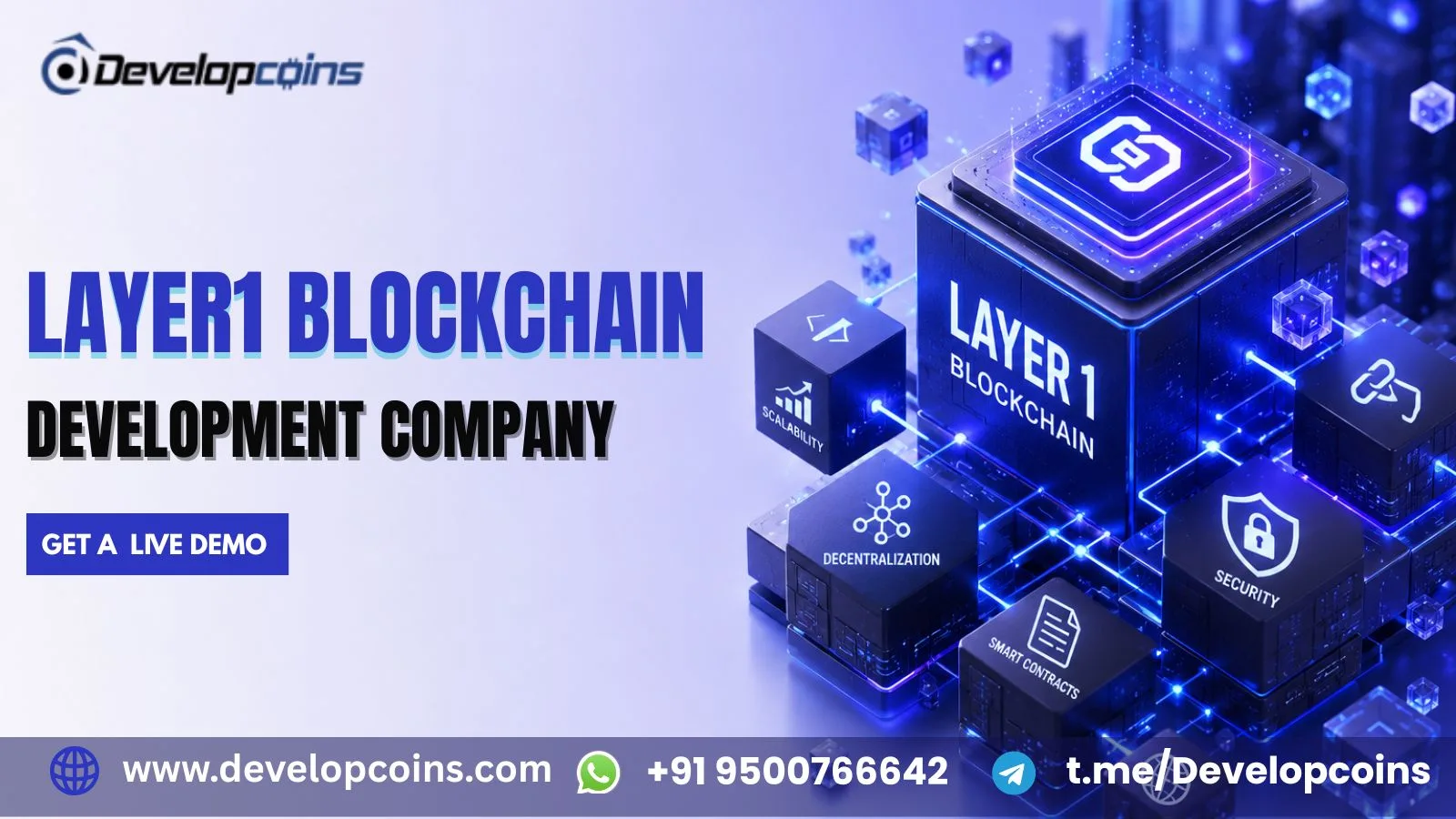 Turn Your Blockchain Vision into a Network with Layer 1 Blockchain Development - image 1