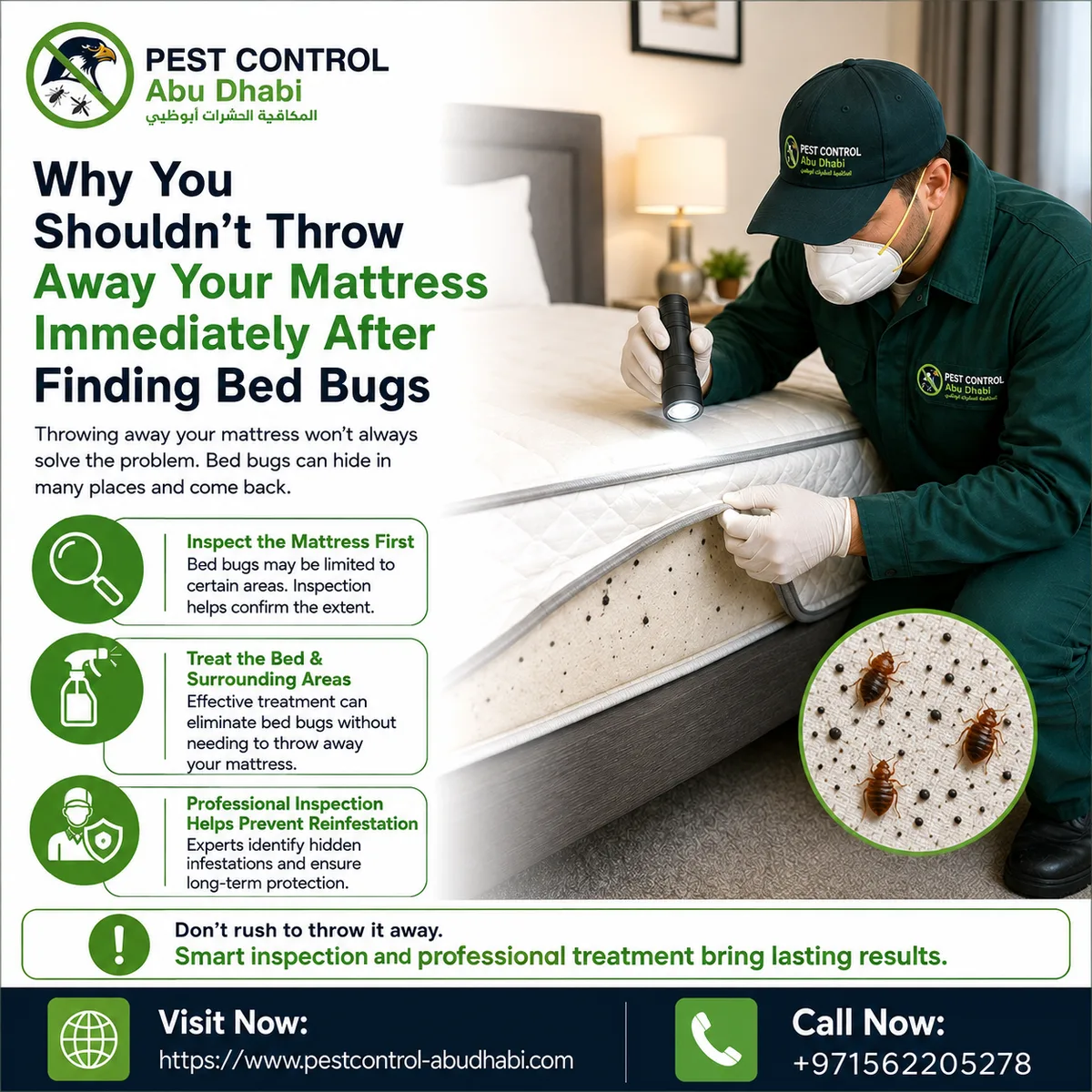 Why You Shouldn’t Throw Away Your Mattress Immediately After Finding Bed Bugs - image 1