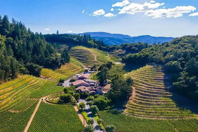 Organic Winery Napa Valley - image 1