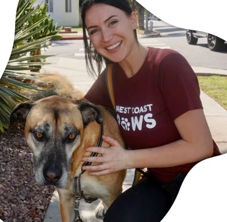 Local Dog Sitters in Long Beach CA | westcoastpaws - image 1