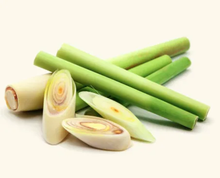 Buy lemongrass oil - image 1