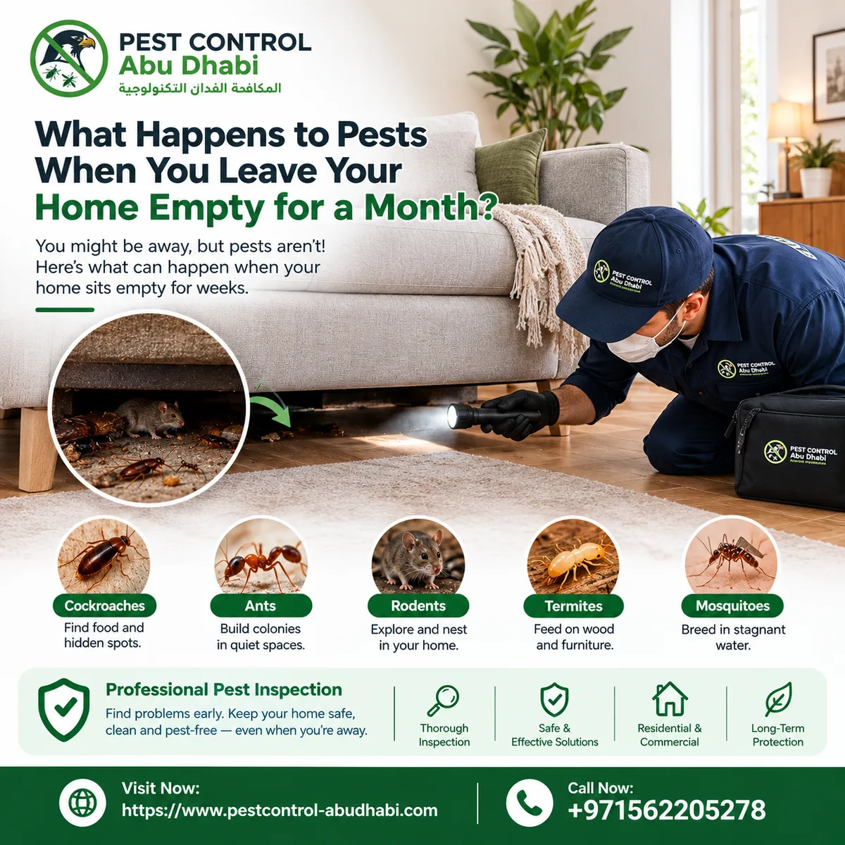 What Happens to Pests When You Leave Your Home Empty for a Month? - image 1