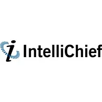 IntelliChief - image 1